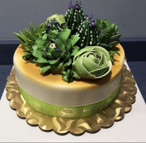 Succulents Cake